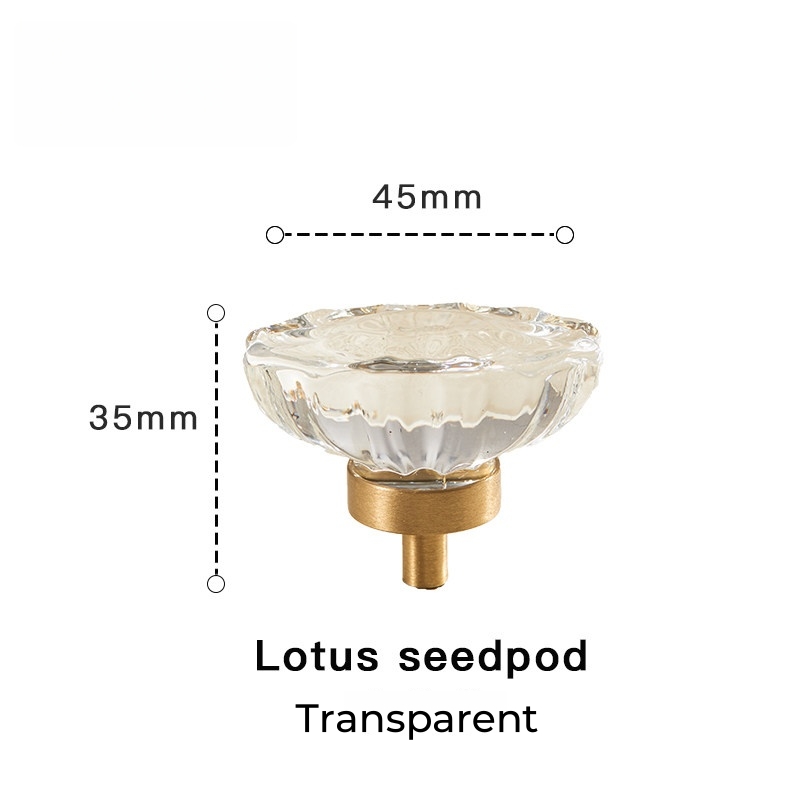 Gousse de lotus transparente