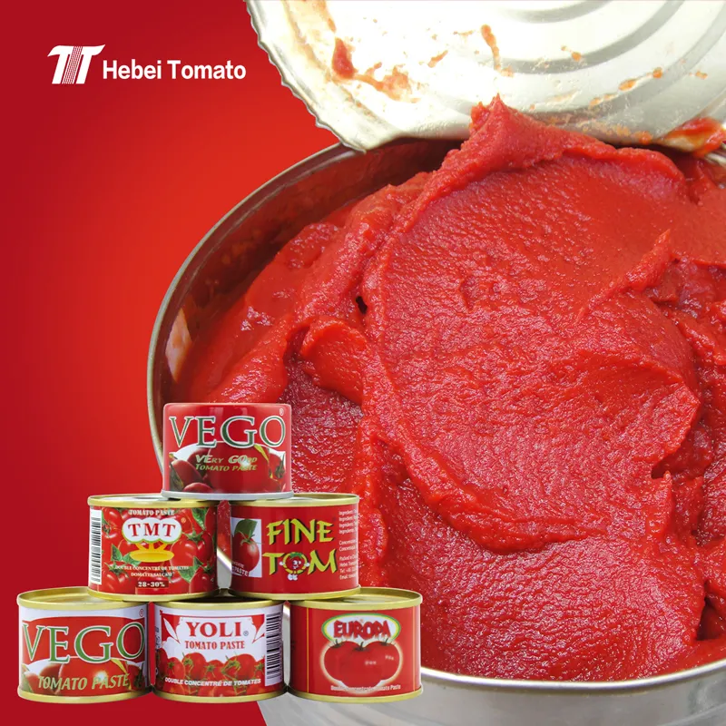 Produttore di concentrato di pomodoro in scatola di latta di alta qualità fresca 70g 210g 400g 800g salsa di pomodoro di marca OEM