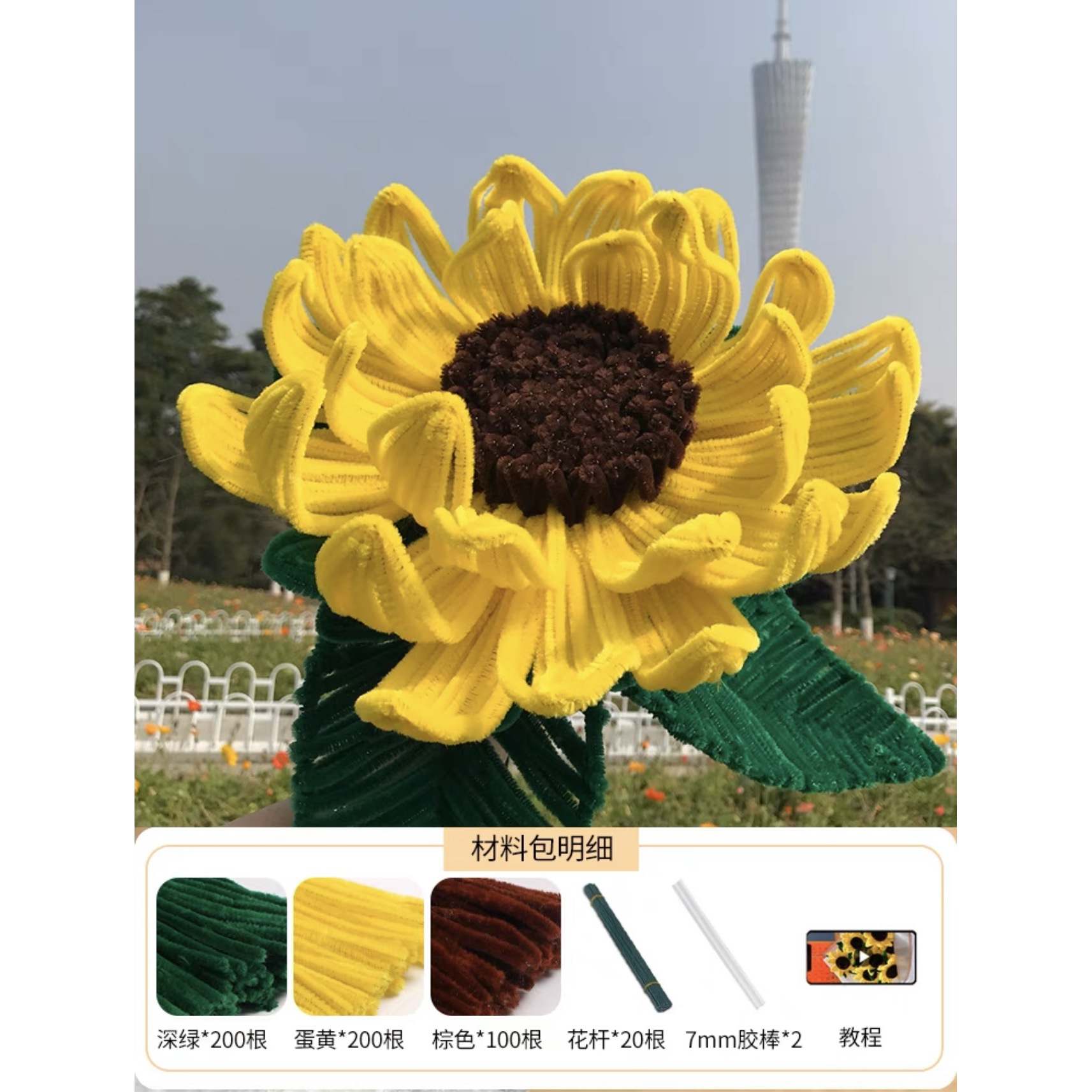 Ensemble repas Saint-Valentin : Tournesol géant rouge pastèque