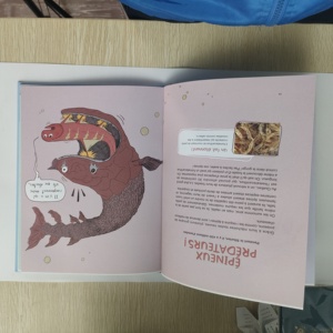 儿童儿童Abc学习写作英语练习追踪书学前手写练习书法语 - Product Image 4