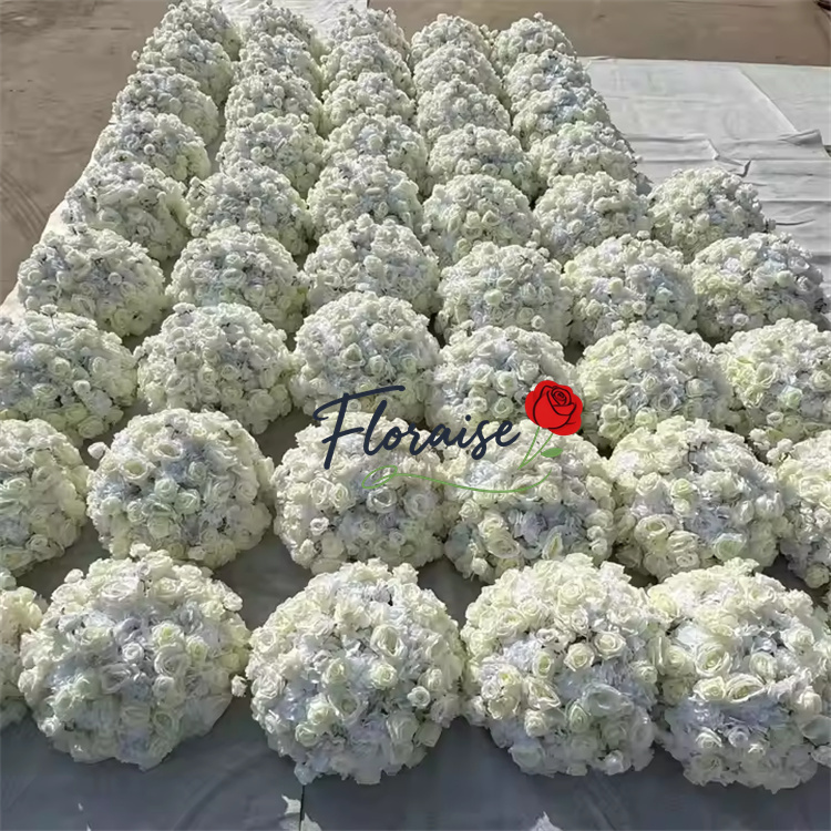 blanco 6