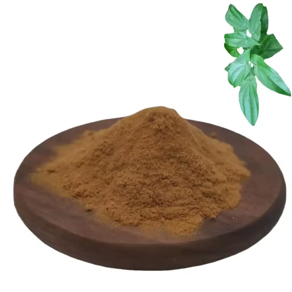 Polvo de extracto de Epimedium de alta calidad, extracto de hierba de cabra cachonda Natural/extracto de epimedium icariin 98%