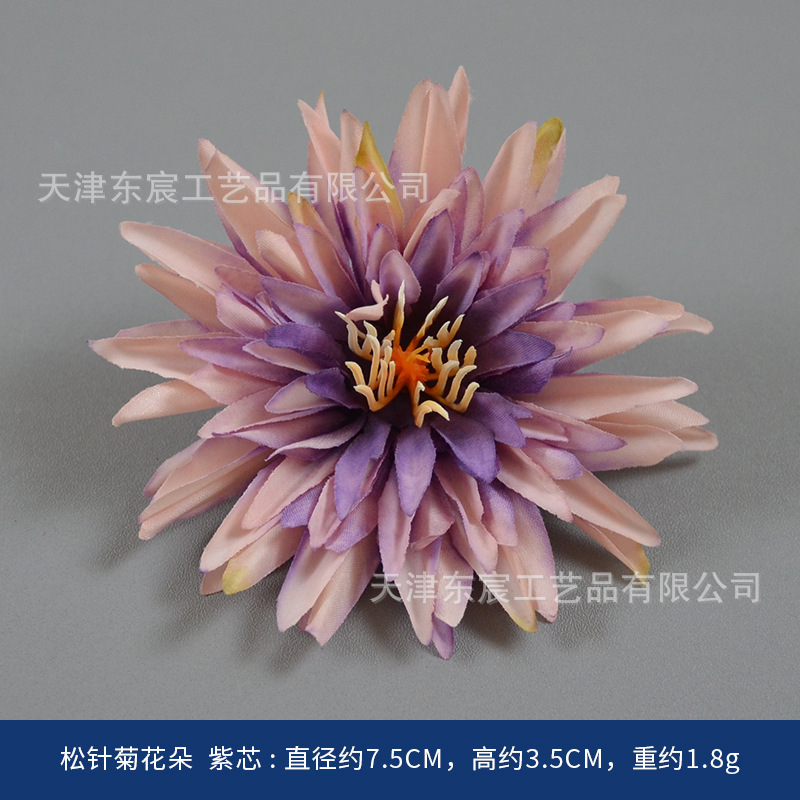 Fleurs de chrysanthème en aiguilles de pin avec centres violets
