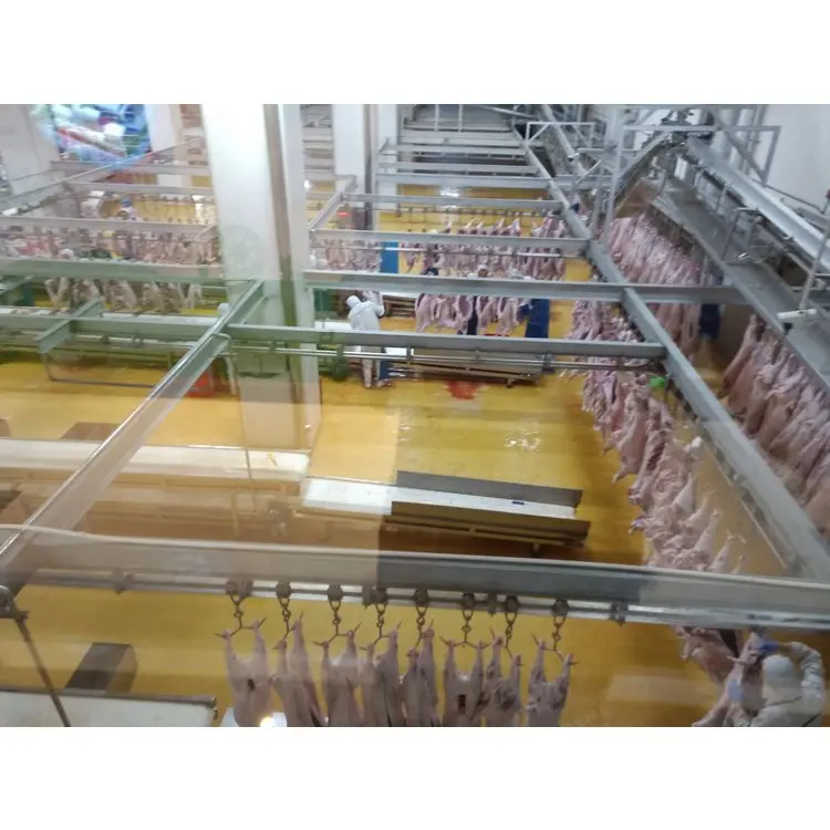 3800 kafaları koyun Abattoir ekipmanları kuzu mezbaha için kesim makinesi kesim hattı