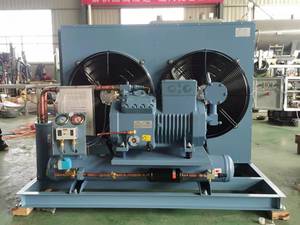 Factory -18&#8451; 5hp Air Cooled Condensing Unit RefComp <strong>Carlyle</strong> Compressor Industrial Frozen Room Meat Fish Chicken Cold Storage - Product Image 3
