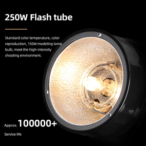 GODOX E250 Pro photography Studio Strobe Photo 250W แฟลชสตูดิโอพร้อมพอร์ตควบคุมแบบไร้สาย (250WS) - Product Image 2
