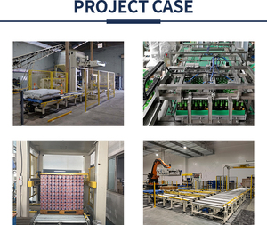 LWT Food Fruit Canned Packaging Production Line <strong>Automatic</strong> Pallet <strong>Stacking</strong> <strong>Robot</strong> Filled Tin Cans Palletizer Depalletizer Machine - Product Image 6