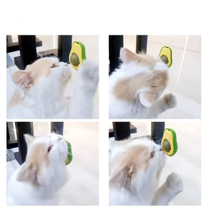 Hot Selling Natural <strong>Catnip</strong> Balls Avocado <strong>Cat</strong> Food Toy Handmade <strong>Catnip</strong> for <strong>Cats</strong> <strong>Catnip</strong> Stick Pet <strong>Cat</strong> Accessories - Product Image 4
