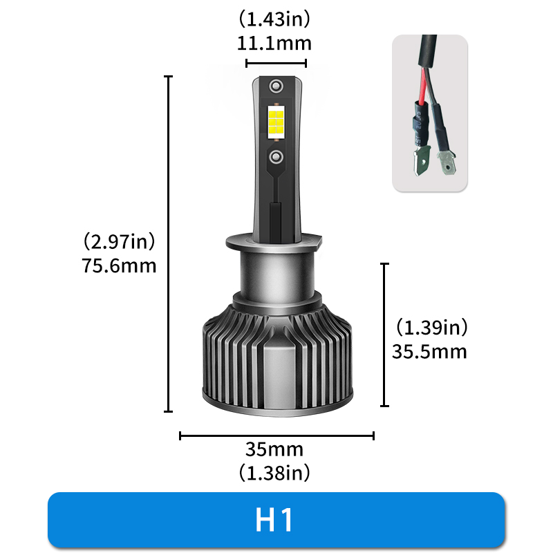 H1