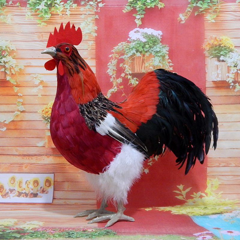 Rooster no1 with white leg feathers