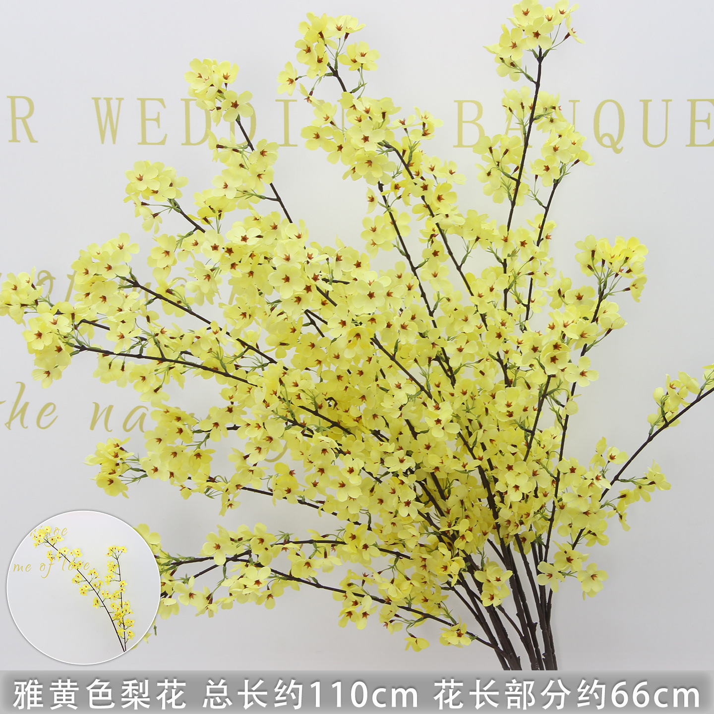 Branche de fleur de poirier jaune pâle