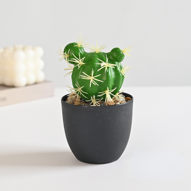 Small Bonsai (Plastic Basin)