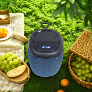 Hot Sale Portable Mini 10W <strong>Bluetooth</strong> <strong>Speaker</strong> System with IPX5 RGB LED for Studio <strong>Use</strong> and Wireless Sound for <strong>Computer</strong> and Phone - Product Image 4