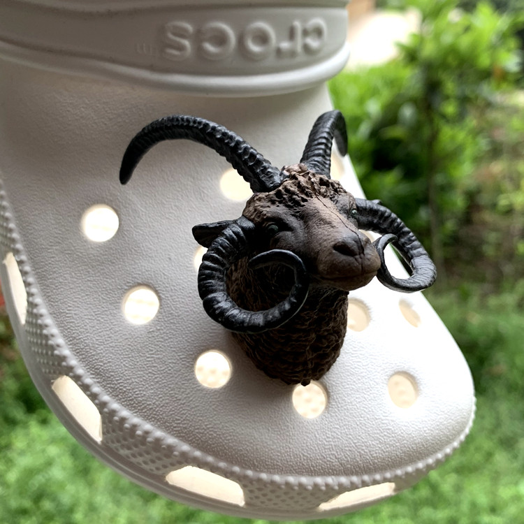 1 in the sheep picture