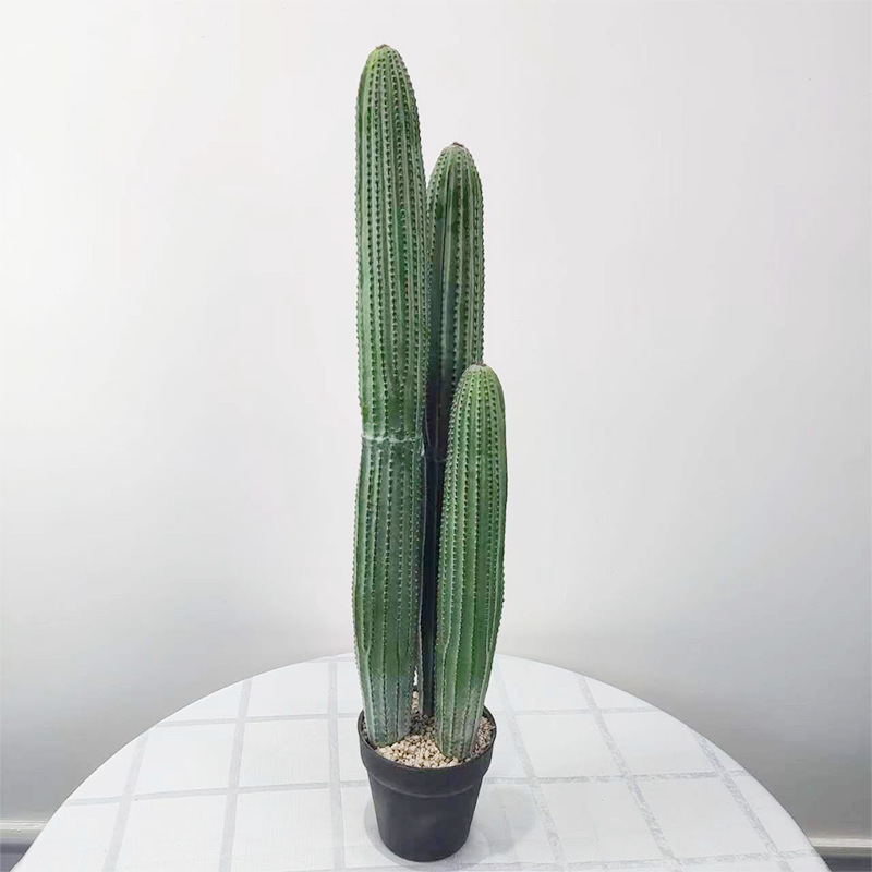 Green 11