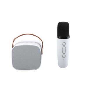Leistungs starker tragbarer Outdoor-Taschen lautsprecher Home Party Karaoke-Lautsprecher