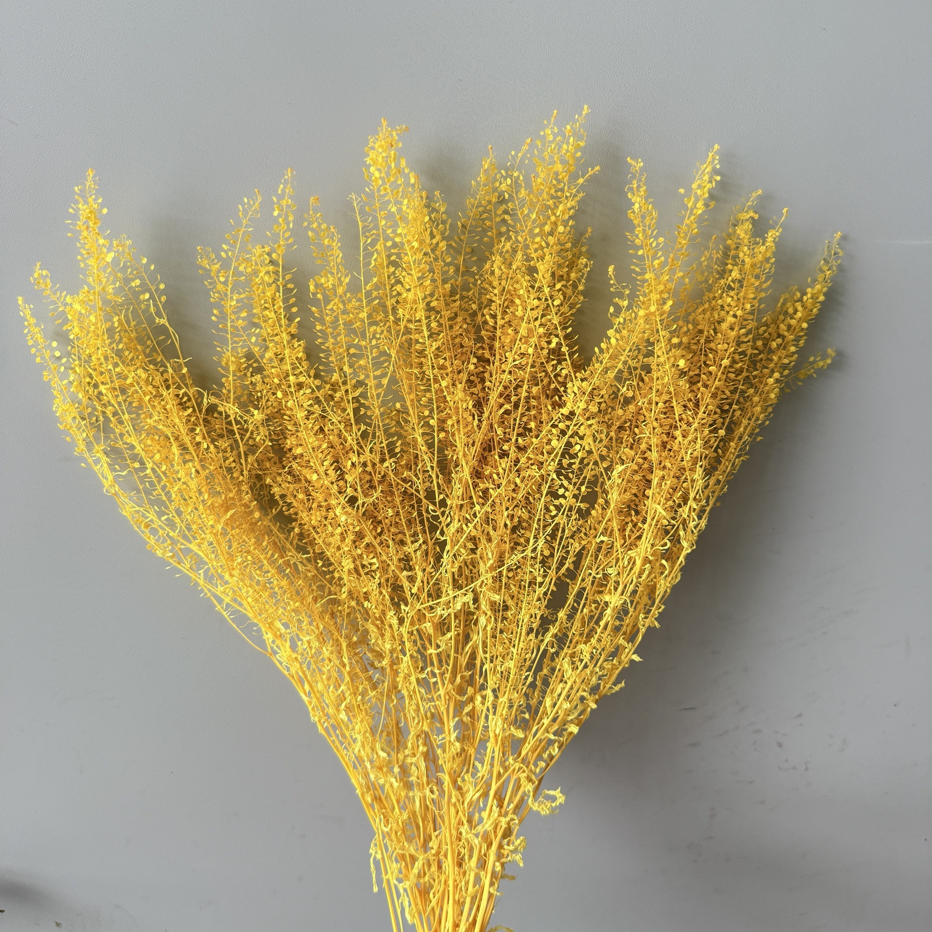 Giallo