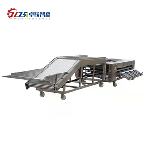 Automatic Stainless Steel Vegetable and Fruit <strong>Sorting</strong> <strong>Machine</strong> - Product Image 6