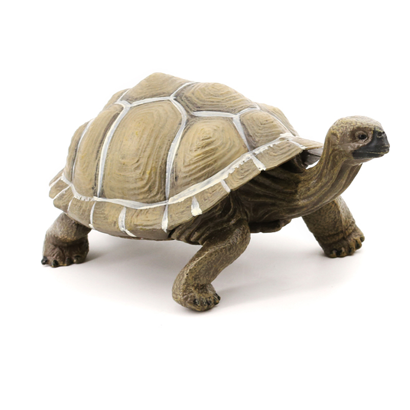1327 Tortuga gigante de Galápagos