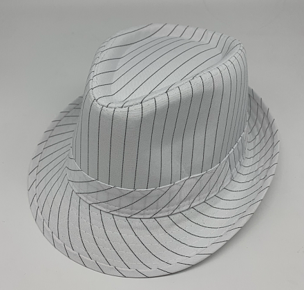 แถบสีขาว