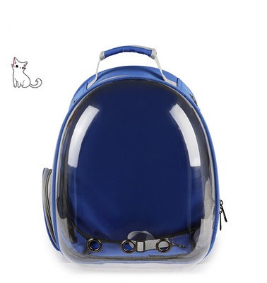 Version transparente - Bleu