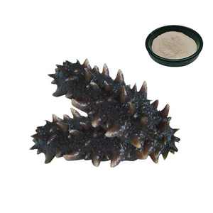 ทะเลแตงกวาแคปซูล/แตงกวาทะเลแห้ง/แตงกวาทะเลสารสกัดจากผง - Product Image 1