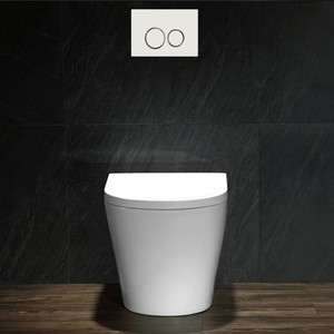 壁隠し貯水槽トイレボタン二重隠しフラッシュ貯水槽床置きトイレ用 - Product Image 2