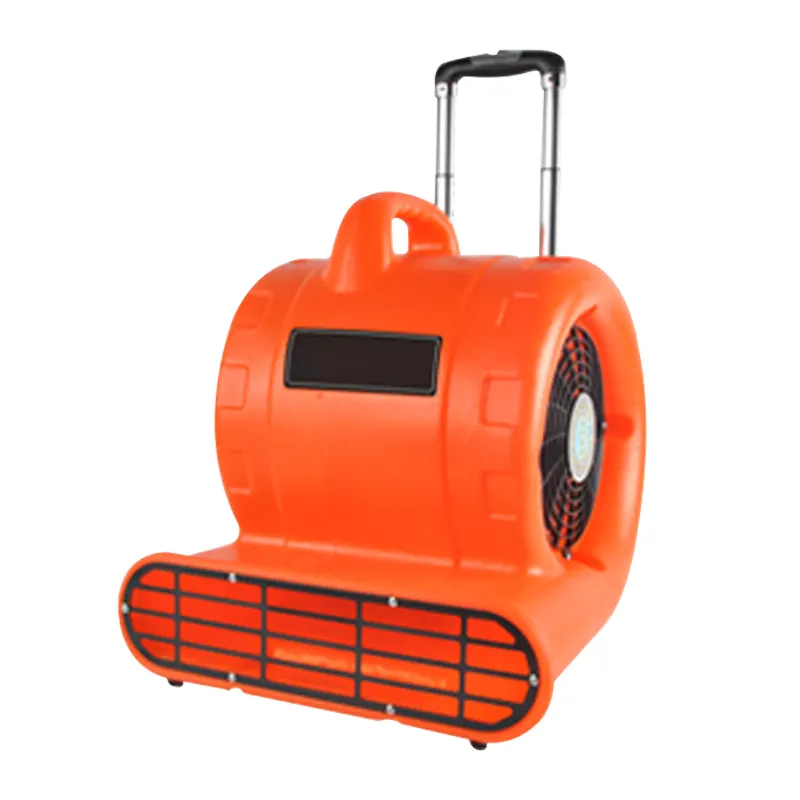 1/3HP 110V Air Mover asciugatrice per tappeti pulitore ad alta pressione pulizia dell'acqua fredda essiccatore elettrico per animali domestici