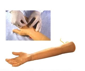 HS13 Advanced Elderly Venipuncture Training Arm Model Medical School <strong>Palpation</strong> Tool for Variety of Incisions - Product Image 1