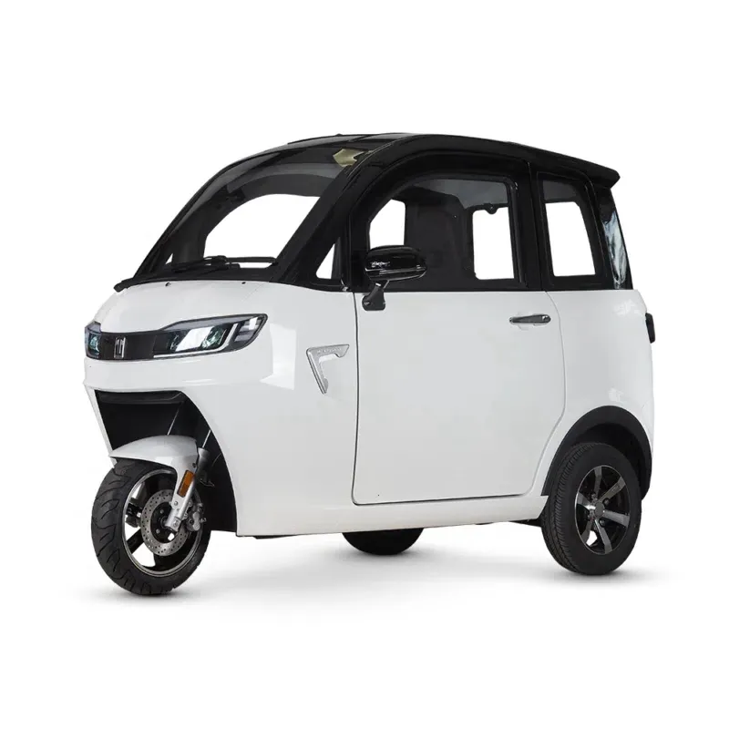 ELION X1 EEC COC triciclo electrico 3 ruote cabina scooter triciclo elettrico con cabina