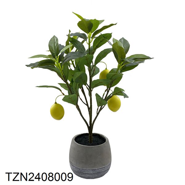Vert-TZN2408009