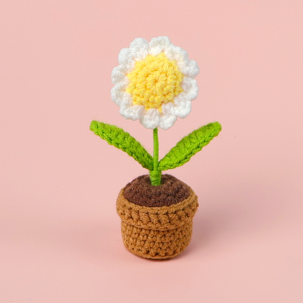 Marguerite blanche en pot, mini pot en fil