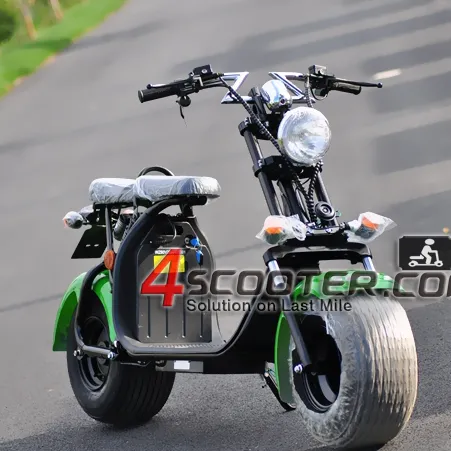 EEC CoC Citycoco Electric Scooter Diri Balancing 2 Wheel Segue Scuter