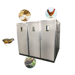 Incubateur 16896 yumurta kapasitesi kuluçka makinesi ve kuluçka couveuse automatique 16000 oeuf kuluçka makineleri yumurta kuluçkalamak HJ-I23 - Product Image 2