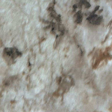 แพนโดรา