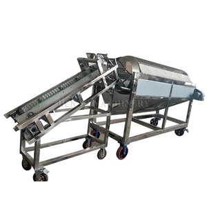 Trilladora de vainas de cacao Máquina para romper vainas de Cacao/Máquina de detección de granos de cacao/Máquina separadora de granos de cacao - Product Image 3