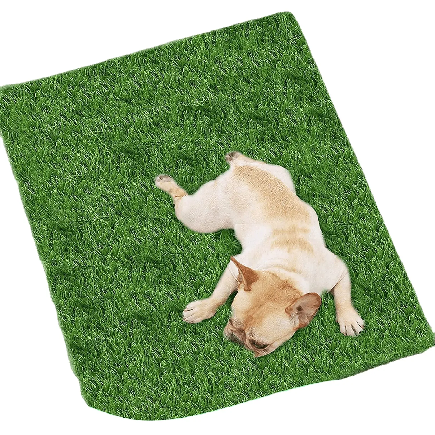 Alfombra de césped artificial marca DBDMC, césped para perros, césped interior y exterior para perros, orinal, área de entrenamiento, decoración de césped para Patio