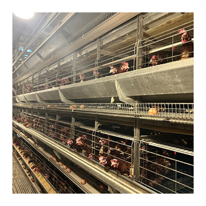 Giá tốt nhất về điều kiện mới lồng pin tự động cho trang trại gà đẻ trứng tối ưu cho các lớp - Product Image 2