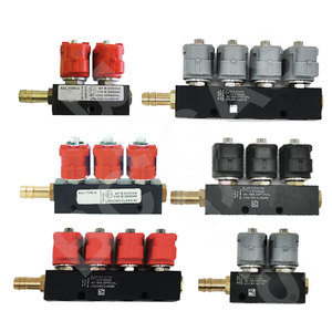 Sequentielles Kraftstoffs ystem 2Ohm 4-Zylinder-Einspritzschiene CNG LPG Digitale Kraftstoffe in spritz ung Lpg Gemeinsame Einspritz schiene
