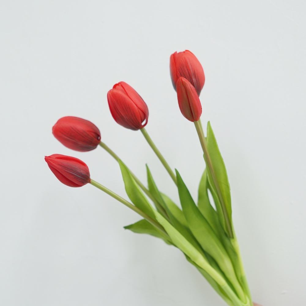 rosa3