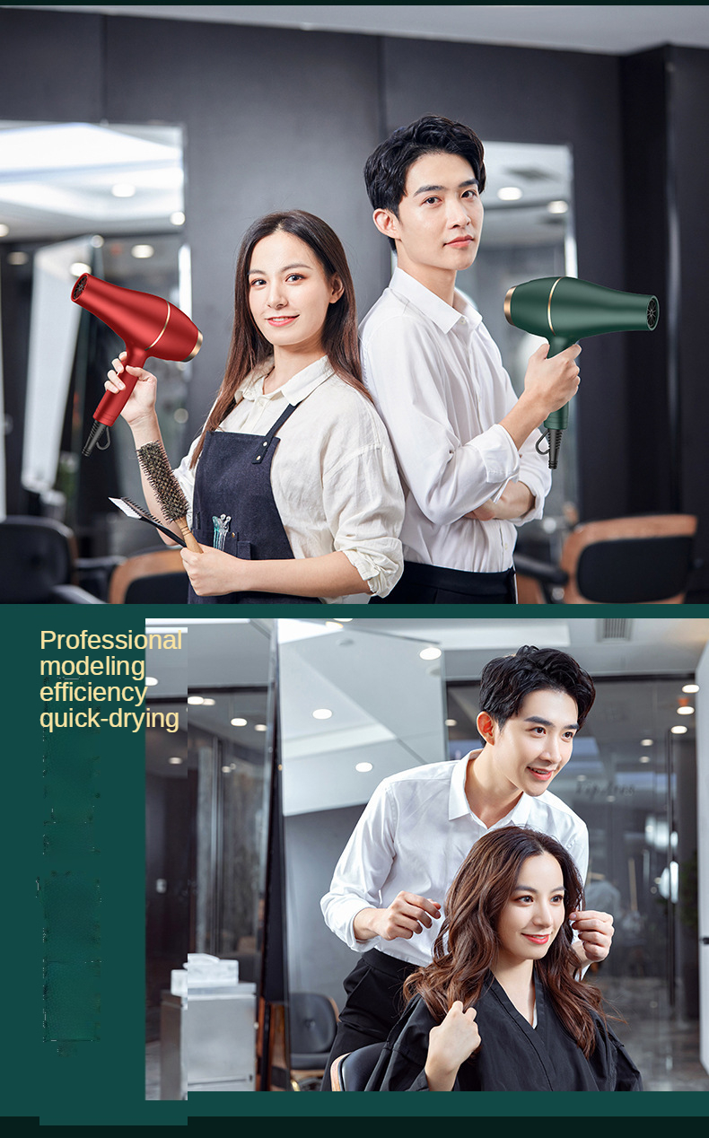 Hot Selling Salon Professional Dc Motor Concentrator/diffuser/ionic And Induction Function Professional Blow Hair Dryer