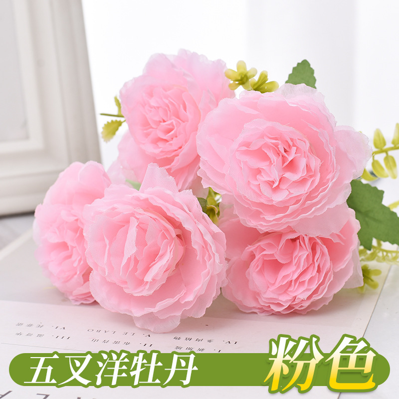 Ranuncule rose à cinq fourches