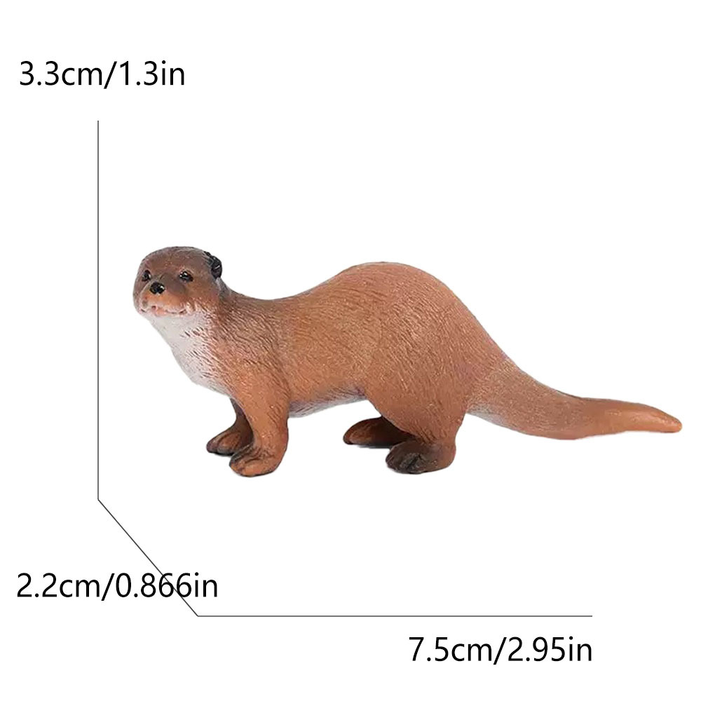 1817 loutre de mer 133g