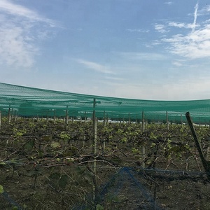 <strong>Bird</strong> <strong>Netting</strong> Agricultural <strong>Anti</strong> <strong>Bird</strong> <strong>Netting</strong> for Garden <strong>Netting</strong> Fish Pond Plastic <strong>Anti</strong> <strong>Bird</strong> <strong>Mesh</strong> <strong>Netting</strong> for Vineyards - Product Image 4