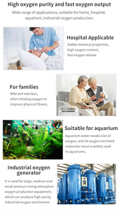 เครื่องลดความชื้นแบบตะแกรงโมเลกุลสำหรับดูดซับน้ำเครื่องลดความชื้นเครื่องอัดอากาศ13X ตะแกรงโมเลกุล - Product Image 6