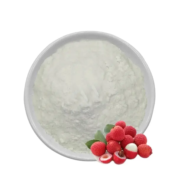 Supply High Quality lychee fruit powder Free Sample Best Price lychee powder for sale