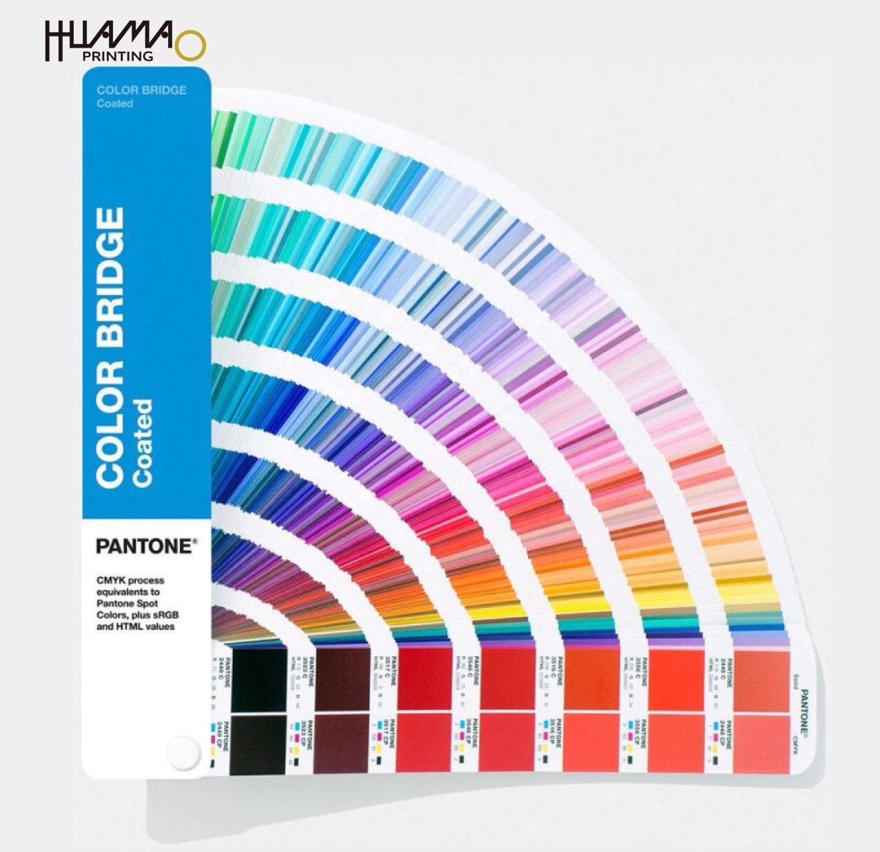 สีแพนโทน