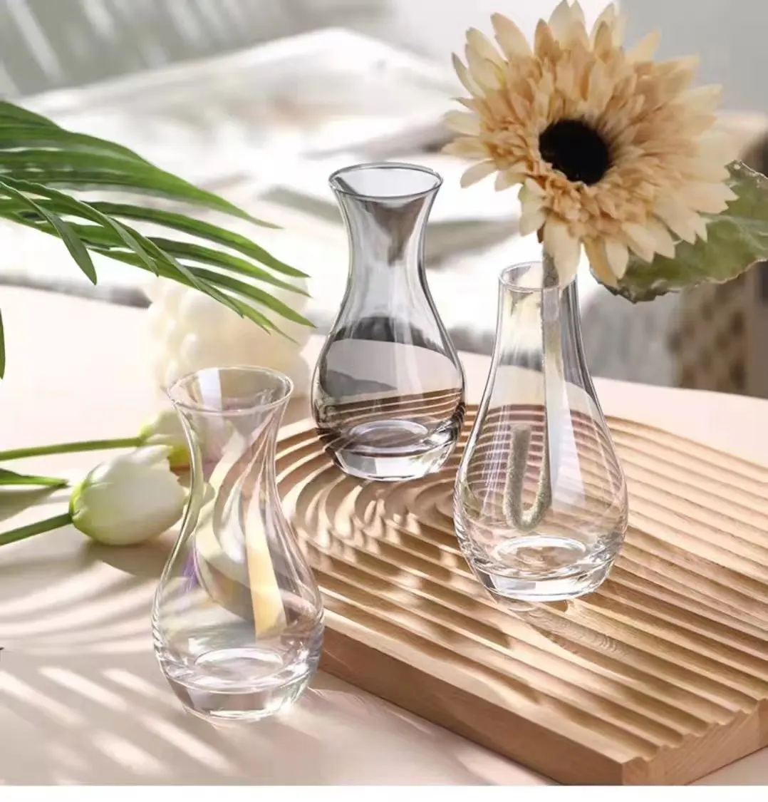 Ins İskandinav ışık lüks basit şeffaf küçük taze yaratıcı hidroponik kurutulmuş cam çiçek vazosu ev dekorasyon süsler