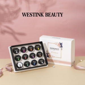 さまざまな3dおよび4dネイルアートデザインのためのWestinkbeautyの簡単なアプリケーションプロのサロンのための高粘度4dカービングジェル