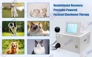 Terapia con onda d'urto focale a caldo per terapia a onde d'urto regolabile con vescica d'acqua Non invasiva focalizzata dal veterinario - Product Image 6